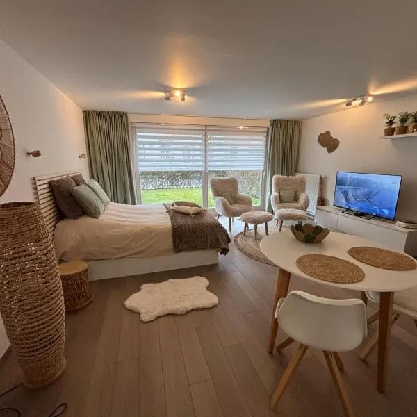 Studio Amour met tuintje nabij strand hond welkom, hotel a Blankenberge