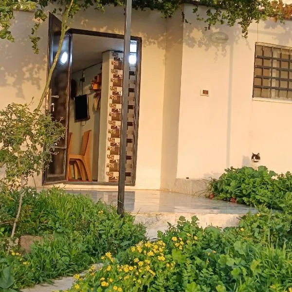 Rousan House, Hotel in Umm Qays
