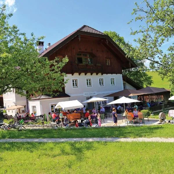 Erlachmühle, Hotel in Mondsee