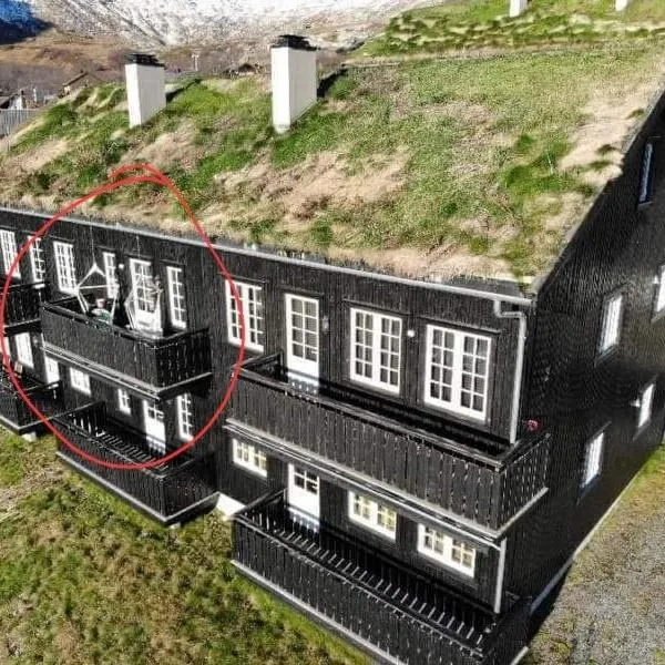 Apartment Røldalsfjellet, hotel sa Håra