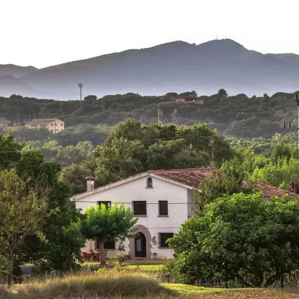 Can Rossa, Hotel in Palol de Oñar