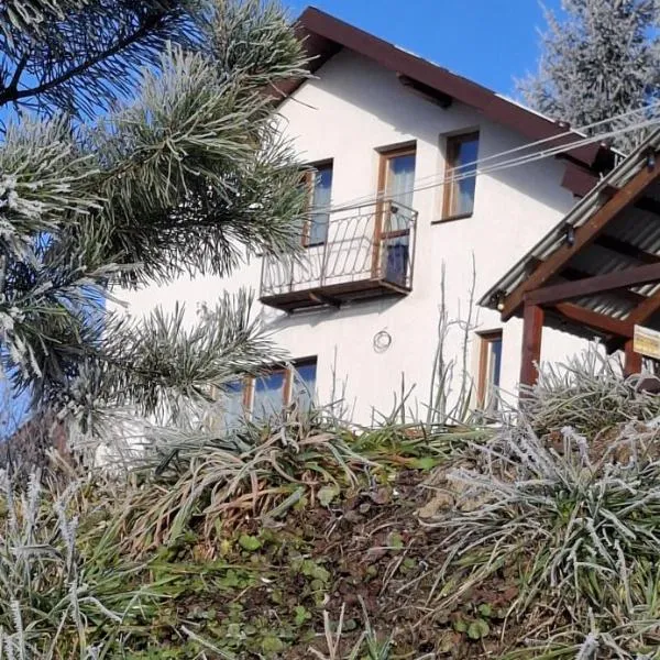 Біля лісу Шале з двома спальнями, hotel i Slavske