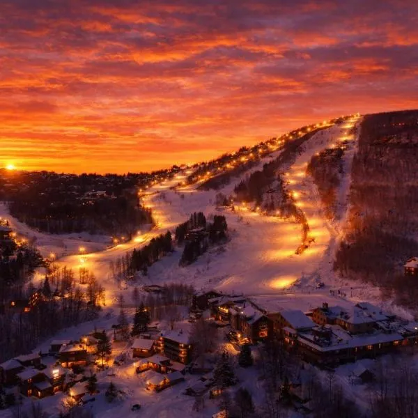 Peak Ski Season Escape: Beech Mountain şehrinde bir otel