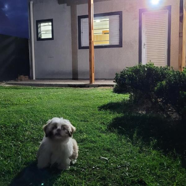 Cantinho do sossego