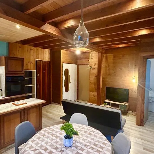 엑스레뱅에 위치한 호텔 T2 Aix-Les-Bains atmosphere chalet