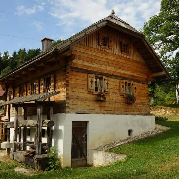 Tourist farm Samec, hotel v destinaci Sele