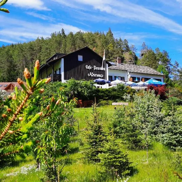 Café-Pension Krems, hotel en Waischenfeld