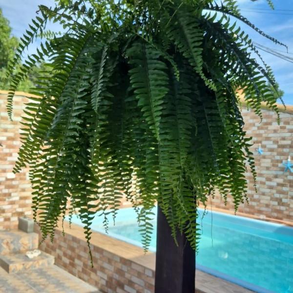 Linda casa em Unamar - Foto 4