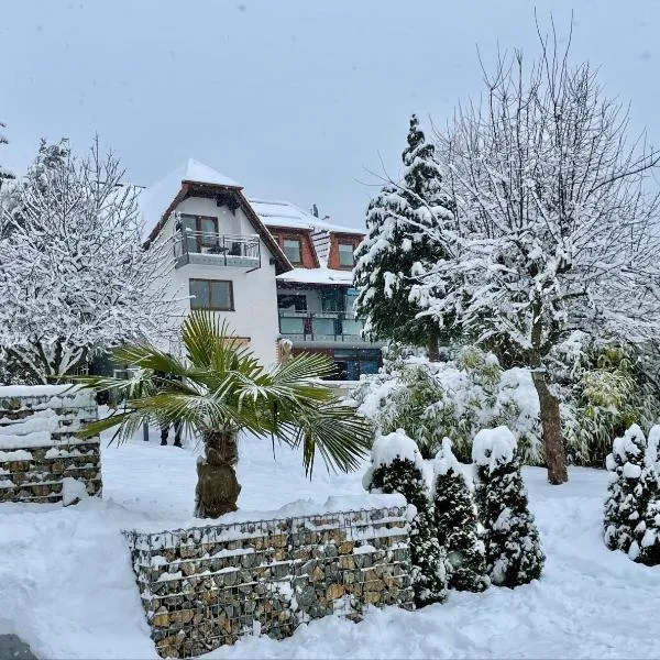 Pension Höchemer、バート・ボックレットのホテル