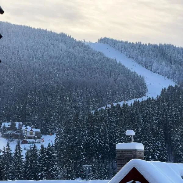 Brand New Family Apartment in Harrachov Center with Garage & Mountain View, hotell i Harrachov