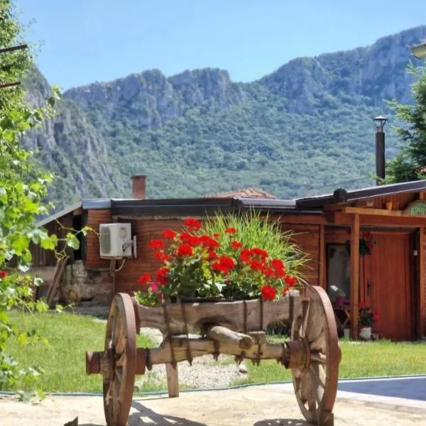 Ramonda Serbica- Peaceful Retreat in Sicevo Gorge, מלון בניש