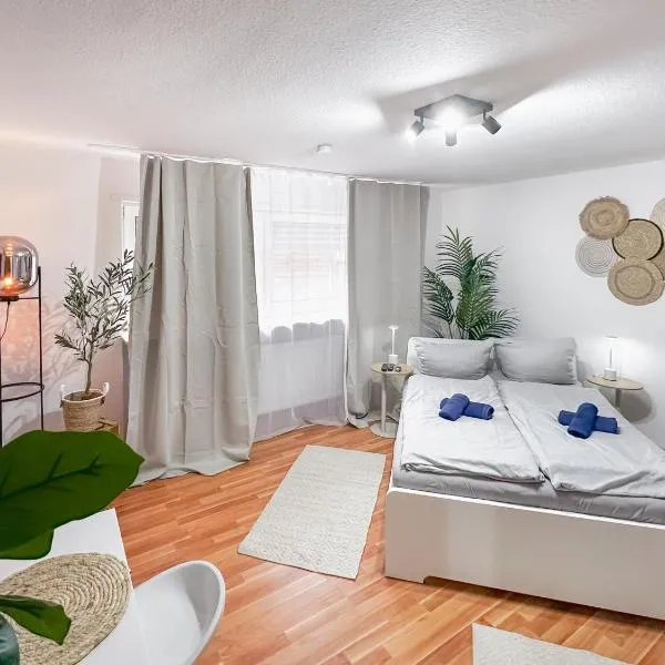 Urban Cozy Apartment - Kaiserslautern, hotell sihtkohas Kaiserslautern