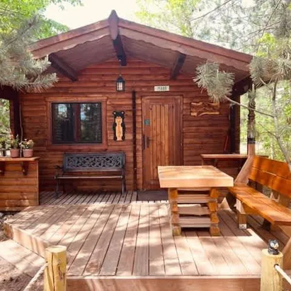 Honeybear Hideaway Cabin, hotel v destinácii Hayward