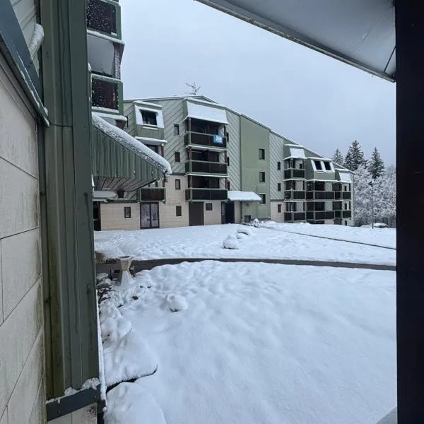 Charmant Studio, hotel v destinaci Prémanon