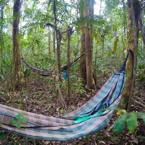 Acampamento selvagem
