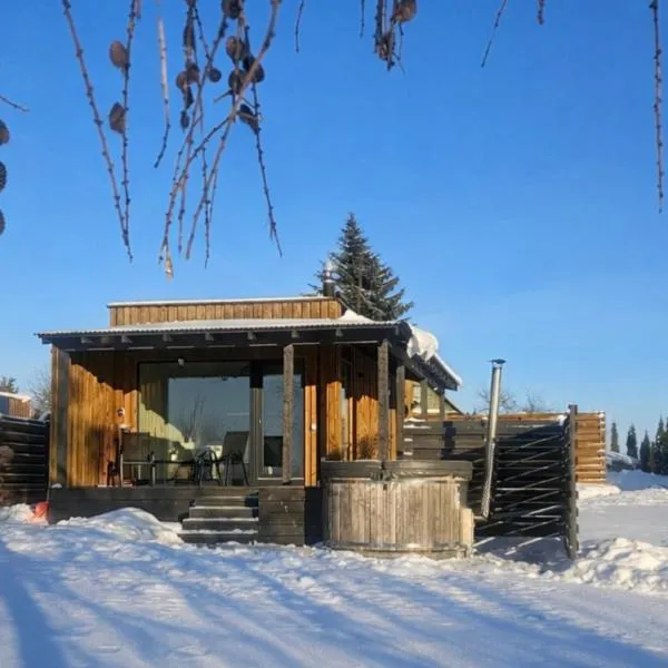 Volunge house, hotel din Doškonys