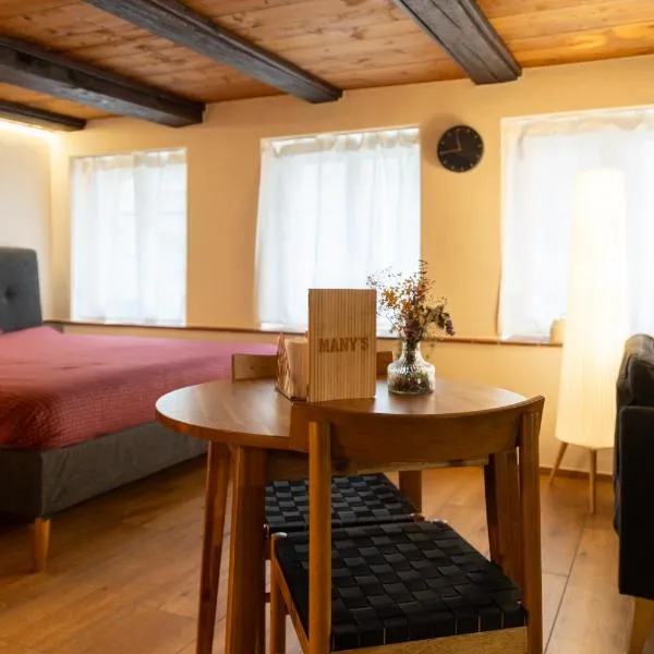 MANY'S historical city central APARTMENTS – hotel w Zurychu