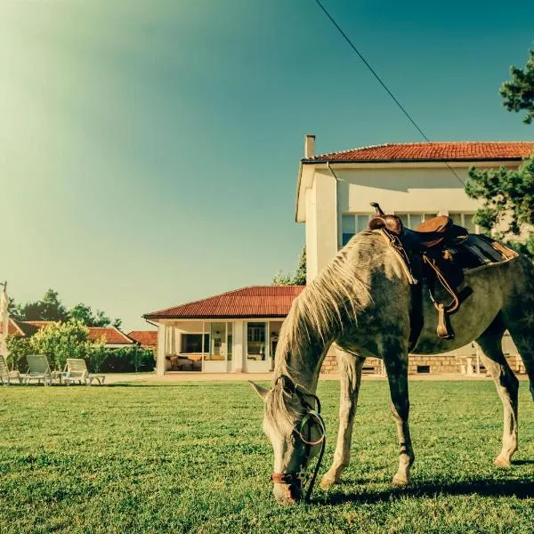 Guest House Ongal, ξενοδοχείο σε Kamenec