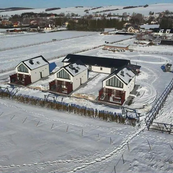 Noclegi Beskidzkie Stodoły, хотел в Odrzechowa