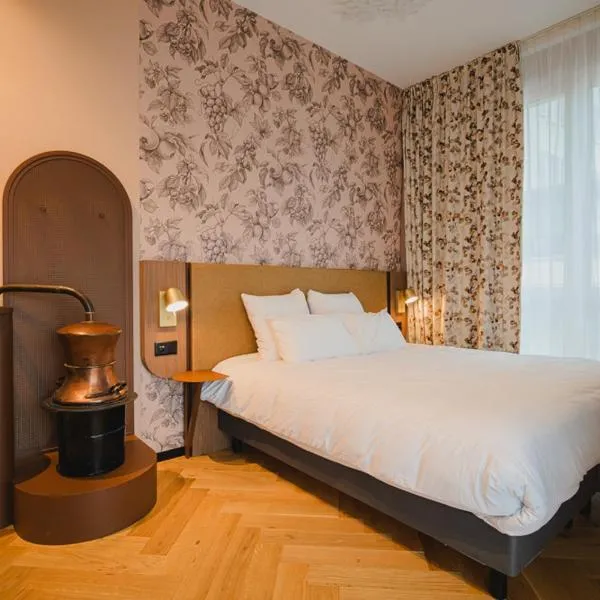 Hota Hotel Porrentruy, хотел в Порентруи