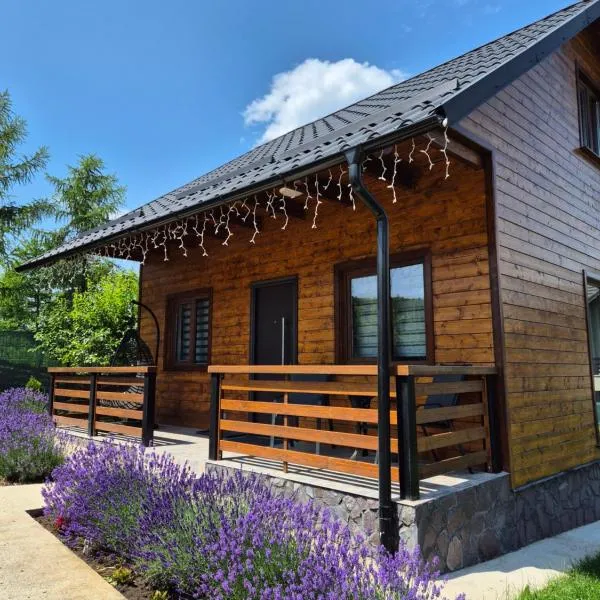 Casuta Sofiei, Hotel in Vîrfu Dealului