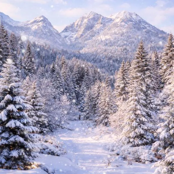 Villa Ermitage, hotell i Buşteni