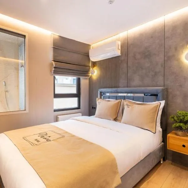İstanbul Platine Apartment, hotel v destinácii Taksim