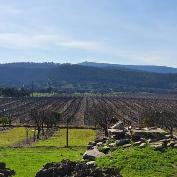Herdade do Burrazeiro Turismo Rural no Alentejo, hotel in Borba