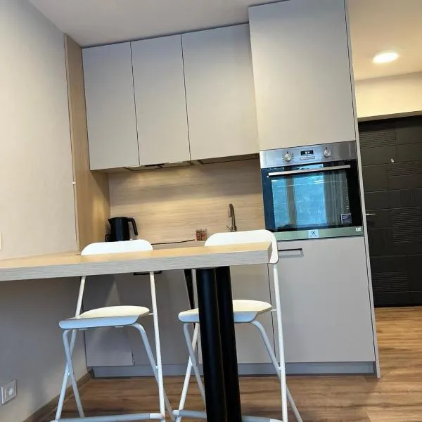 Гнёздышко, hotel din Visaginas