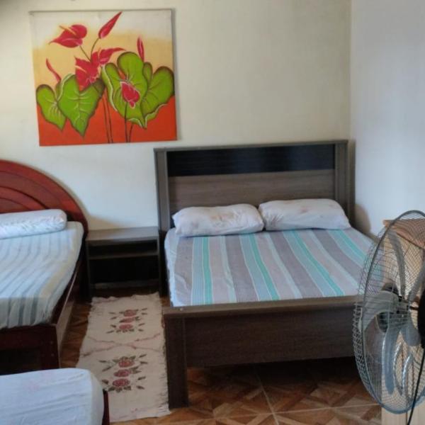 Casa Pink House Praia e Laser - Foto 2
