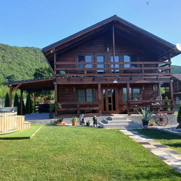 Cabana AndreeaBanica、Moldoveneştiのホテル