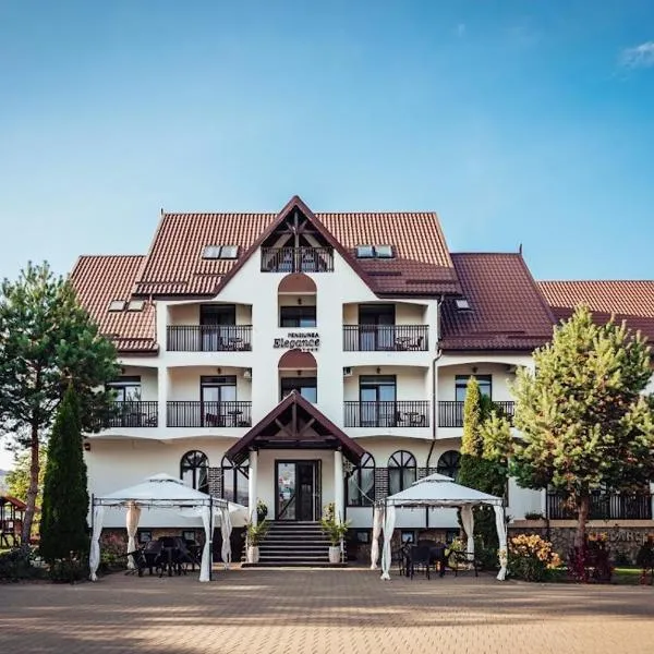 Pension Elegance, hotel u gradu Gura Humorului