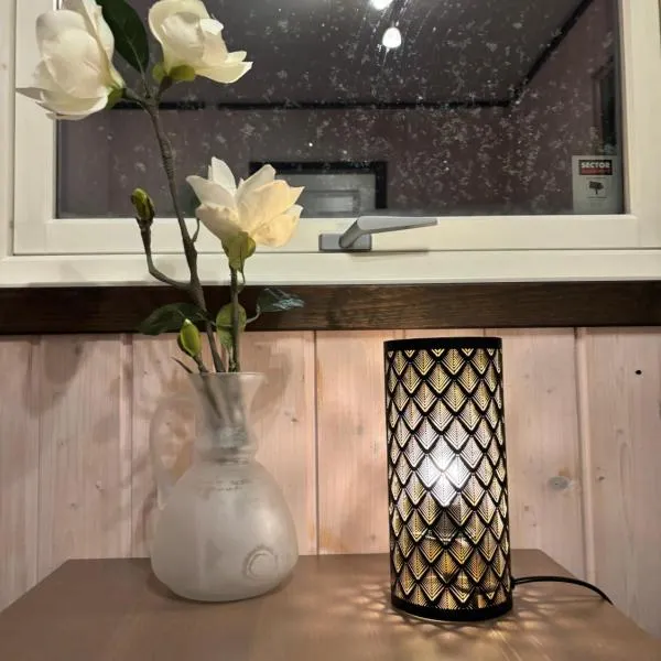 Koselig rom i studentfelleskap, hotel 