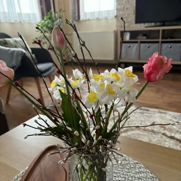 Oliver's House, viešbutis mieste Budaeršas