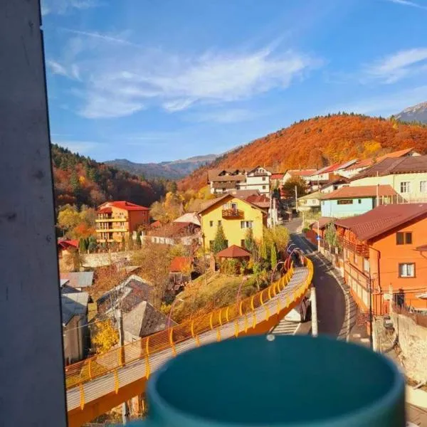 Apartament Erika Premium Sinaia cu acces zona spa contra cost，錫納亞的飯店