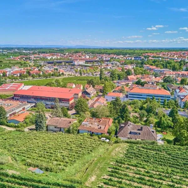 Viesnīca Weinbergnest pilsētā Bādirkheima