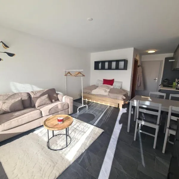 Studio rénové Ovronnaz chalet Orion, готель у місті Овронна