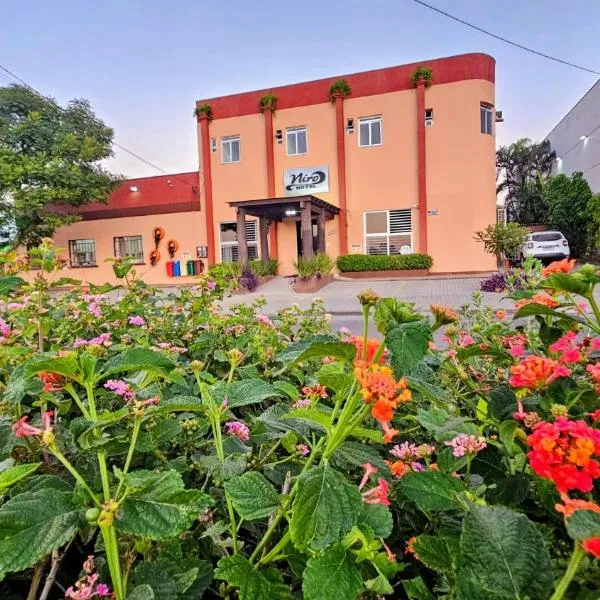 Hotel Niro，Montenegro的飯店