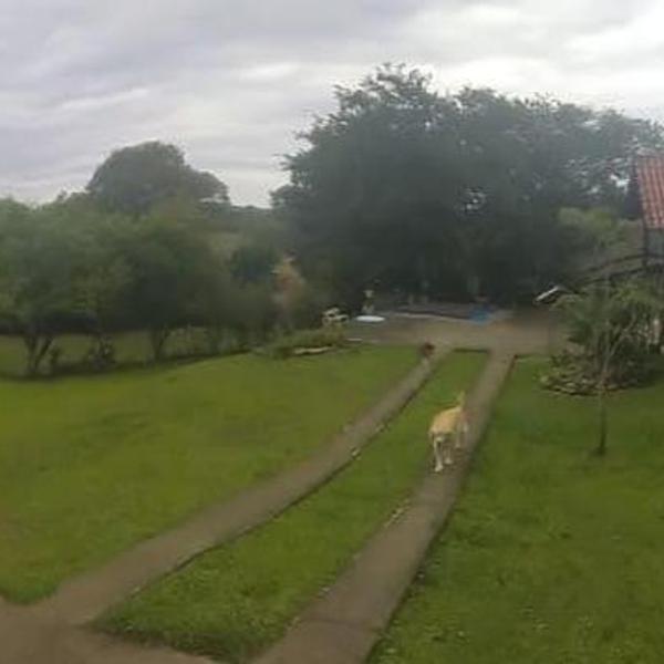 Recanto da Paz - Foto 4