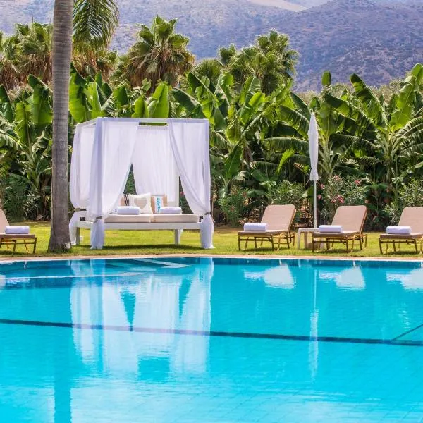 Vergina Apartments & Suites, hotel v destinaci Malia