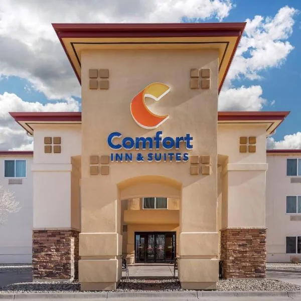 Comfort Inn & Suites Rifle、ライフルのホテル