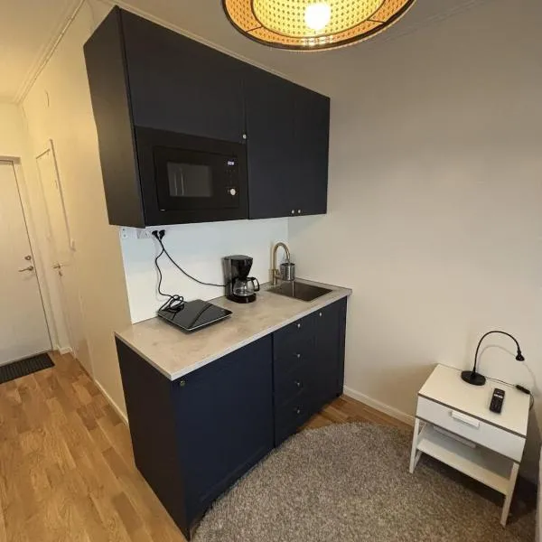 Small studio apartment in the city center, hotel Trollhättanban