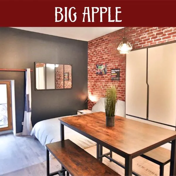 Big Apple - Studio paisible - parking gratuit - 2 personnes - Village Vaux 3 minutes Auxerre, hotel en Auxerre