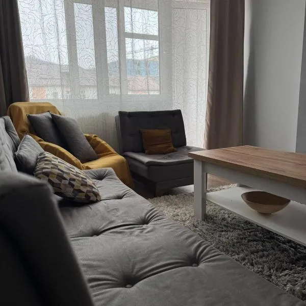 Crystal Modern Apartment, hotell sihtkohas Baia Mare