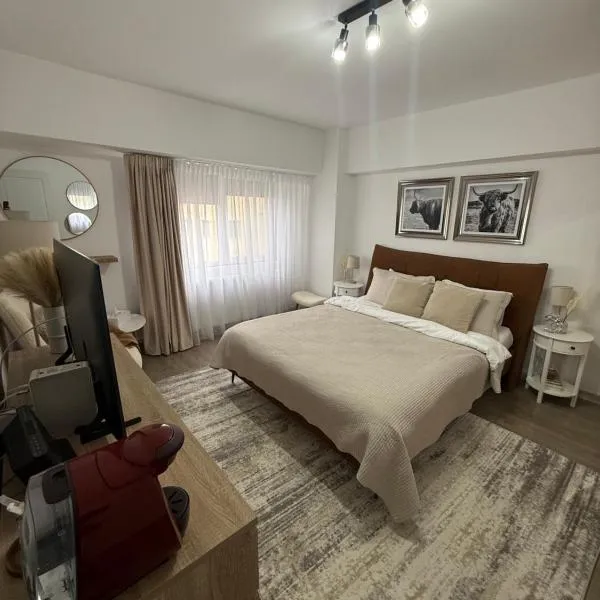 Apart Hotel G3, hotel en Roman