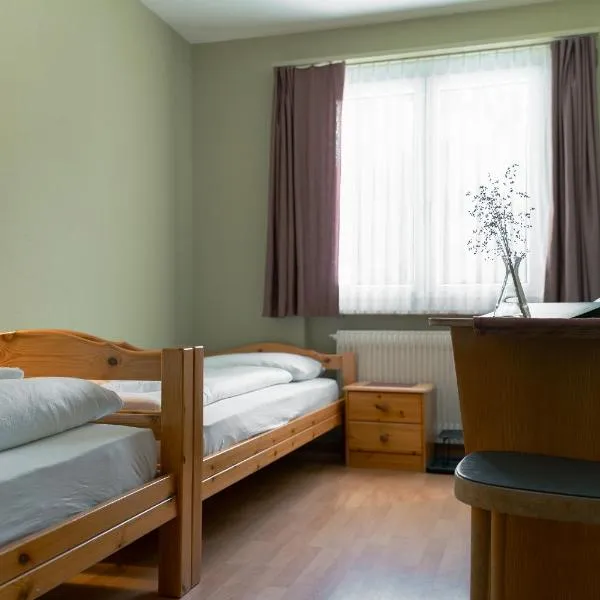 Hotel Guidon Zimmer，比維奧的飯店