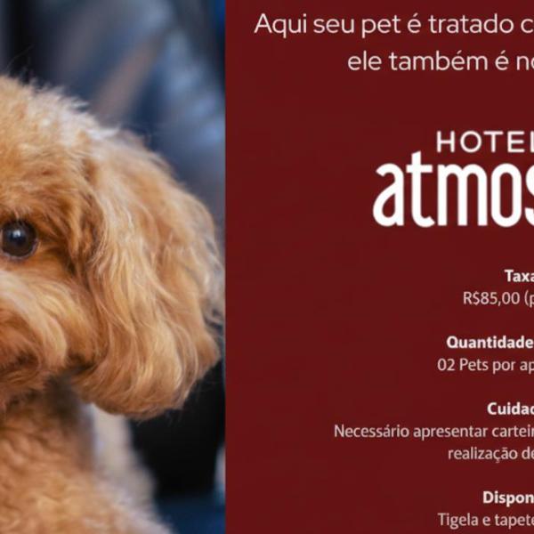 Hotel Atmosfera Feira de Santana - Foto 2