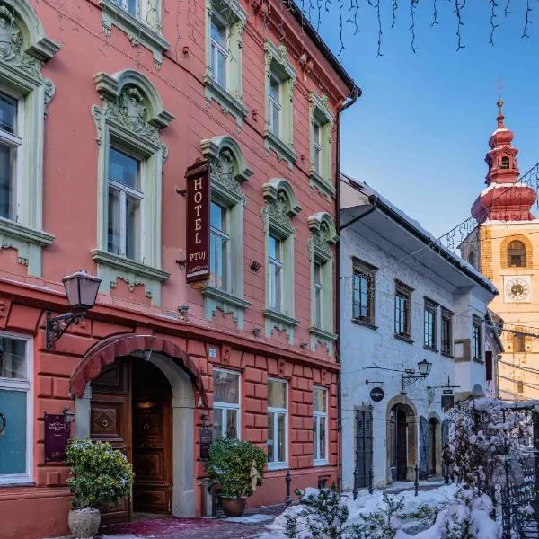 Hotel Ptuj, hotel sa Ptuj
