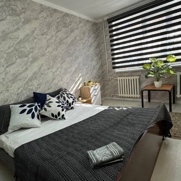 Апарт отель на Калдаякова, hotel in Shymkent