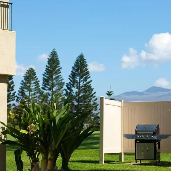 帕尼歐羅園林度假酒店，維克拉村莊的飯店